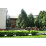 Отзывы о Детский сад № 388, Москва