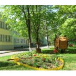 Отзывы о Детский сад № 446 в Москве