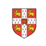 Отзывы о Частный детский сад "Олимпик", Москва