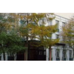 Отзывы о Дошкольное отделение, Школа № 1352 в Москве