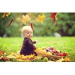 Отзывы о Детский сад № 1927 в Москве