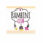 Отзывы о Франшиза Bambini Club