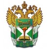Российская Таможенная Академия