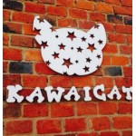 Отзывы о Курсы парикмахеров KAWAICAT