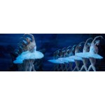 Отзывы о Шоу "лебединое озеро "с Плющенко