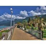 Отзывы о Отдых в Абхазии