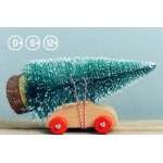 Отзывы о Новогоднее шоу "12 братьев Деда Мороушена"