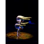 Отзывы о Cirque du Soleil