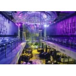 Отзывы о Сити Клаб Интернешнл