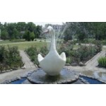 Отзывы о Детский лагерь «Лебедь»