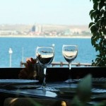 Отзывы о Наутилус Fish organic