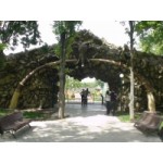 Отзывы о Сафари парк в Краснодаре