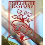 Отзывы о Детский лагерь Карельская березка