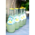 Отзывы о Лимонады Pellegrino