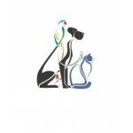 Отзывы о mini-pomeranian.wixsite.com домашние животные