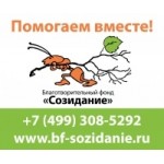 Отзывы о "Созидание" - благотворительный фонд