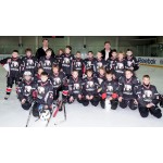 Отзывы о ArenaHD