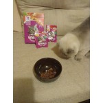 Отзывы о Корм для кошек Вискас