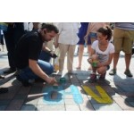 Отзывы о Закон о люстрации в Украине