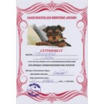 Отзывы о Зоосалон Филимон