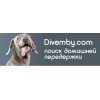 Divemby - сервис по передержке питомцев в домашних условиях
