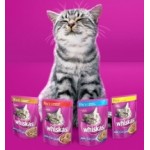 Отзывы о Вискас