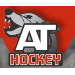 Отзывы о AT Hockey