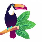 Отзывы о Фитнес-клуб Амазония