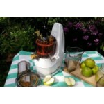 Отзывы о Шнековая соковыжималка Dream Juicer manual