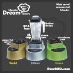 Отзывы о Блендер RawMID Dream past