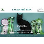 Отзывы о Уральский рекс - гипоаллергенные кошки