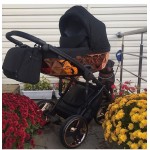 Отзывы о Детская коляска Junama Diamond Mirror 2 в 1