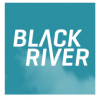 Digital-агентство Black river