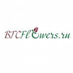 Отзывы о Доставка цветов btcflowers.ru