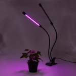 Отзывы о Фито лампа Super Growth / СуперРостSuper