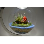 Отзывы о Apeyron fito