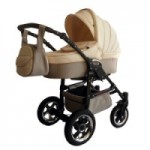 Отзывы о Коляска 2 в 1 Sentimento