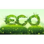 Отзывы о Компания GC ECO