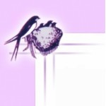 Отзывы о Ласточка кадровое агентство