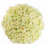 Отзывы о Интернет-магазин цветов Астра Пак