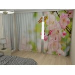 Отзывы о Фотошторы "Колибри"