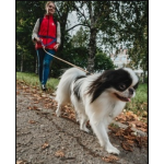 Отзывы о Гульдог: выгул, передержка, няня для собак