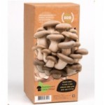 Отзывы о Домашняя грибница "Вешенки"