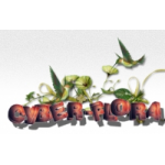 УЖАС Служба доставки цветов Cyber-flora