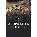 Отзывы о А зори здесь тихие... (2015)