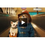 Отзывы о Приключения Паддингтона (2015)
