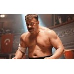 Отзывы о Поддубный (2014)