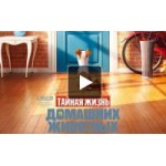 Отзывы о Тайная жизнь домашних животных