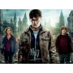 Отзывы о Гарри Поттер и Дары смерти: Часть II