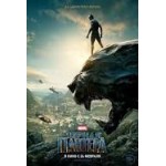 Отзывы о Фильм Чёрная пантера